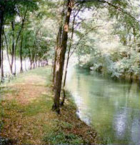 Parco del Roccolo