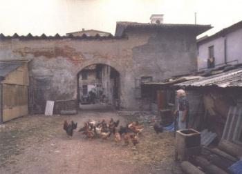 immagine2