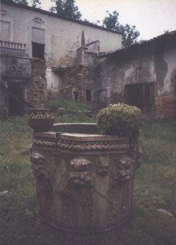 immagine18