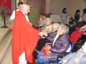 Domenica delle palme