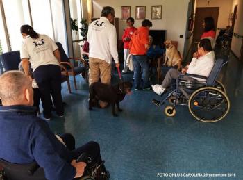 Pet Therapy