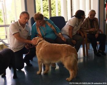 Pet Therapy