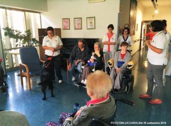 Pet Therapy