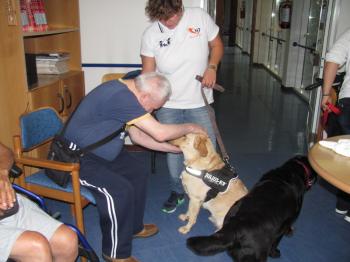 Pet Therapy
