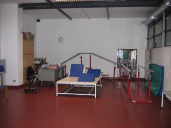 La palestra