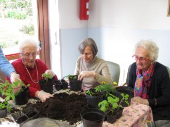 Laboratorio di giardinaggio