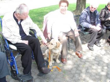 Pet therapy