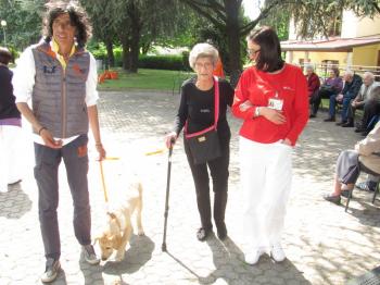 Pet therapy