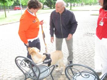 Pet therapy